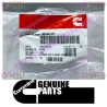 Cummins Screw 3094032