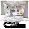 Cummins Turbocharger Nut 3818824