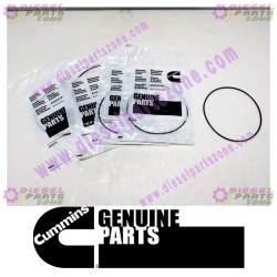 Cummins O-Ring Seal 3867646