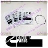 Cummins O-Ring Seal 3867646