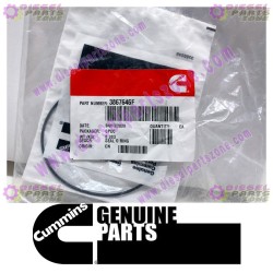 Cummins O-Ring Seal 3867646