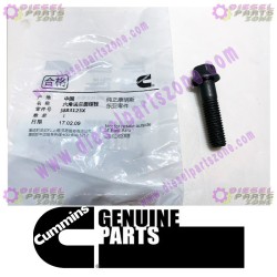 Cummins Hexagon Flange Head Cap Screw 3883123