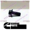 Cummins Hexagon Flange Head Cap Screw 3902460