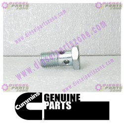 Cummins Banjo Connector Screw 3903035