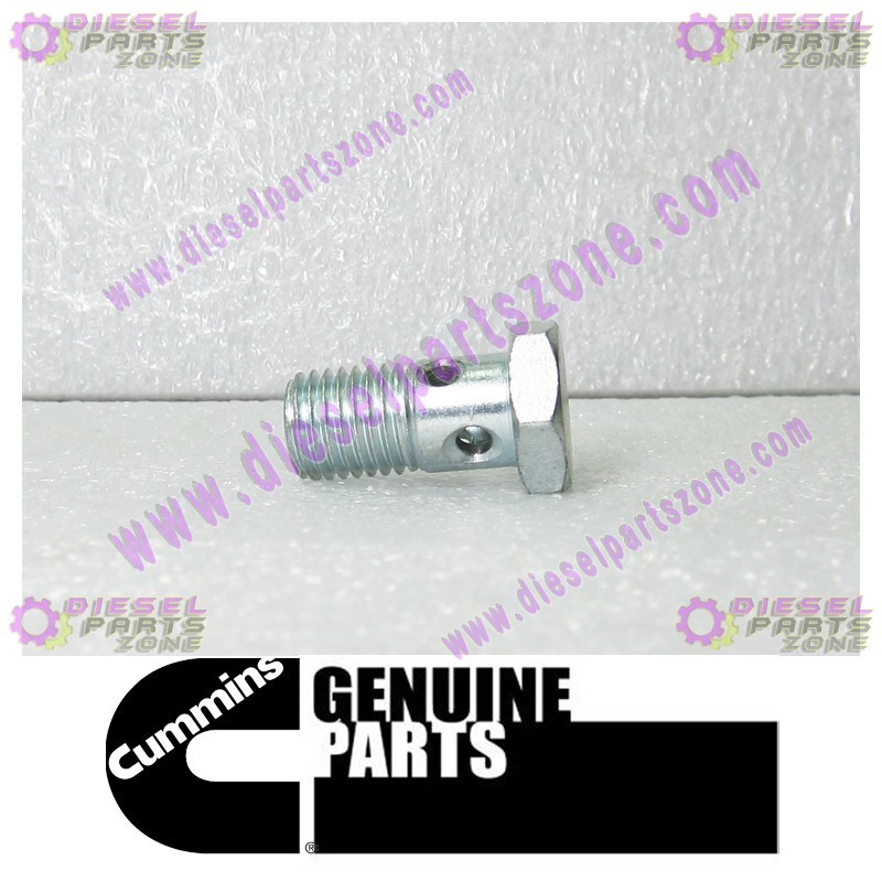 Cummins Banjo Connector Screw 3903035