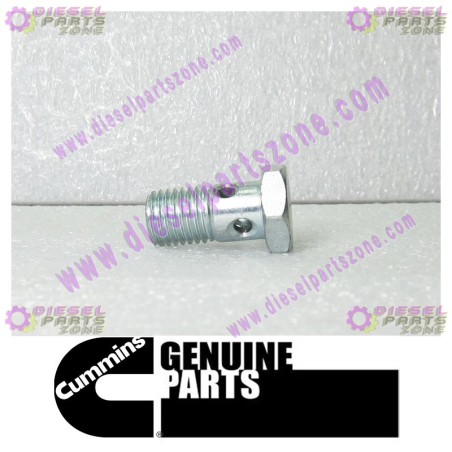 Cummins Banjo Connector Screw 3903035