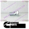 Cummins Banjo Connector Screw 3903035