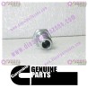 Cummins Banjo Connector Screw 3903035