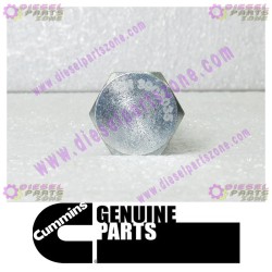 Cummins Banjo Connector Screw 3903035