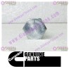 Cummins Banjo Connector Screw 3903035
