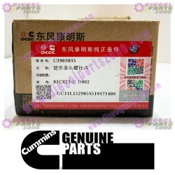 Cummins Banjo Connector Screw 3903035