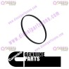 Cummins Rectangular Ring Seal 3912473