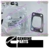 Cummins Turbocharger Gasket 3919369