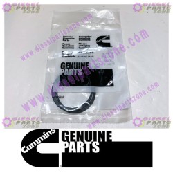 Cummins Retaining Ring 3920692