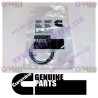 Cummins Retaining Ring 3920692
