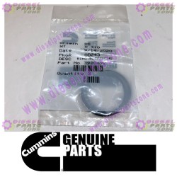 Cummins Retaining Ring 3920692