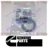 Cummins Retaining Ring 3920692