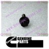 Cummins Captive Washer Cap Screw 3920854