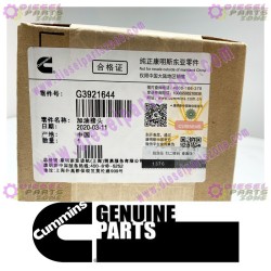 Cummins Oil Filler Connection 3921644