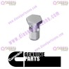 Cummins Banjo Connector Screw 3924725