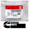Cummins Fracture Resistant Screw 3927063