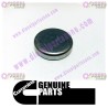 Cummins Expansion Plug 3945094