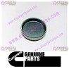 Cummins Expansion Plug 3945094