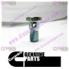 Cummins Check Valve 3957290