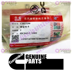 Cummins Check Valve 3957290