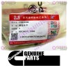 Cummins Check Valve 3957290