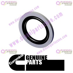 Cummins Sealing Washer 3963990