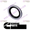Cummins Sealing Washer 3963990