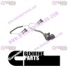 Cummins Wiring Harness 3968886