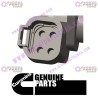Cummins Wiring Harness 3968886