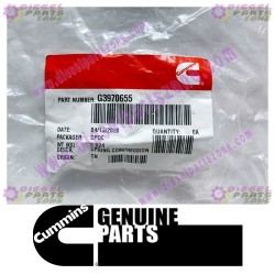 Cummins Compression Spring 3970655