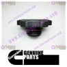 Cummins Filler Cap 3973511