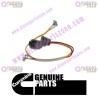Cummins Wiring Harness 4934545