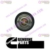 Cummins Thermostat 5273379