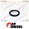 FP-Diesel O-Ring Seal FP-109080