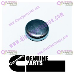 Cummins Expansion Plug 156075