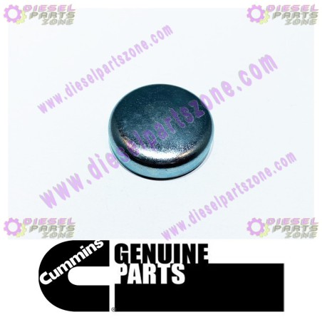 Cummins Expansion Plug 156075
