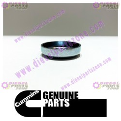 Cummins Expansion Plug 156075