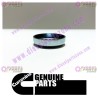 Cummins Expansion Plug 156075