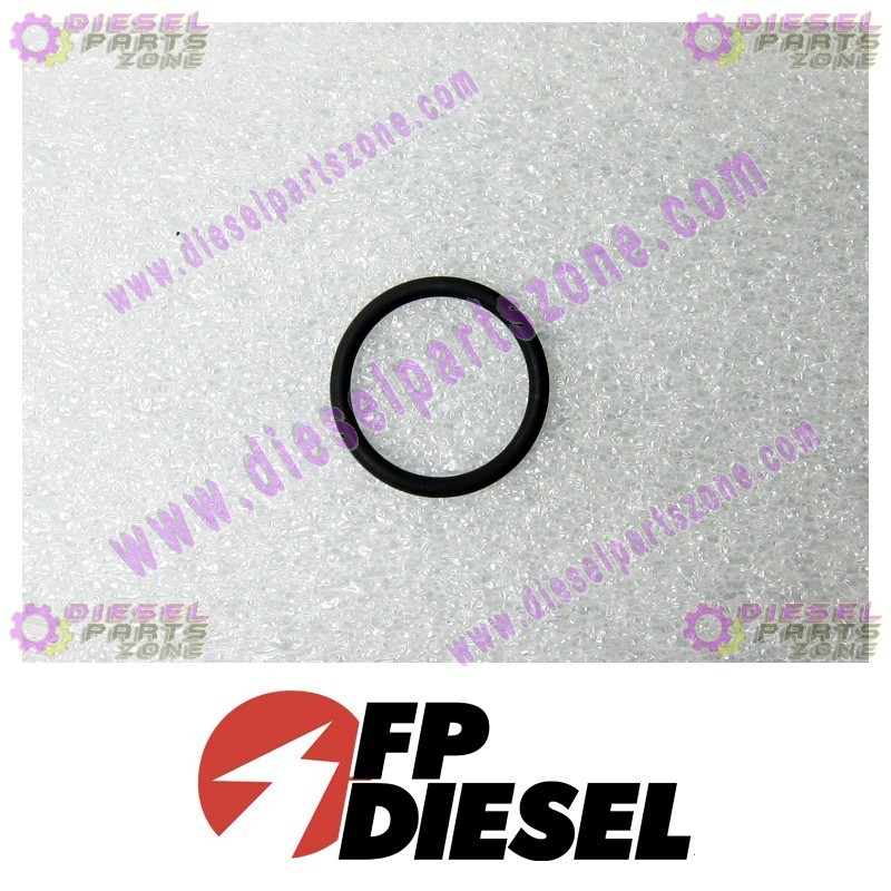 FP-Diesel O-Ring Seal FP-3089240