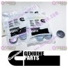 Cummins Expansion Plug 156075