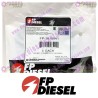 FP-Diesel Thermostat Housing Gasket FP-3818841