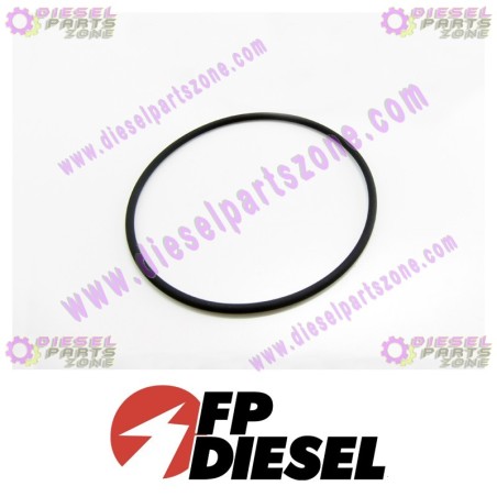 FP-Diesel Rectangular Ring Seal FP-3899283