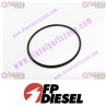 FP-Diesel Rectangular Ring Seal FP-3899283
