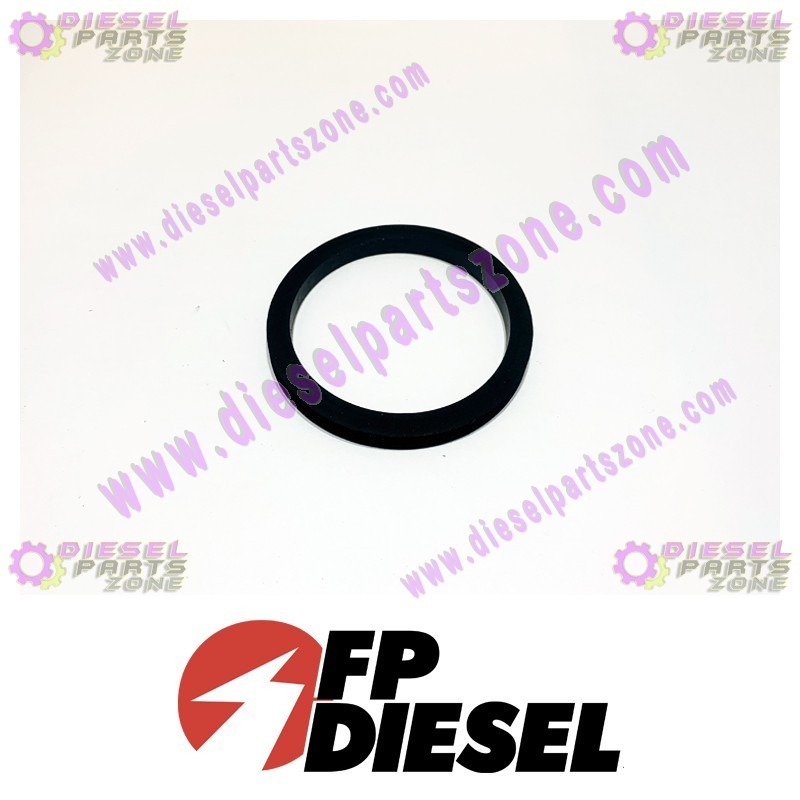 FP-Diesel Rectangular Ring Seal FP-3906697