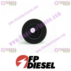 FP-Diesel O-Ring Seal FP-3910248